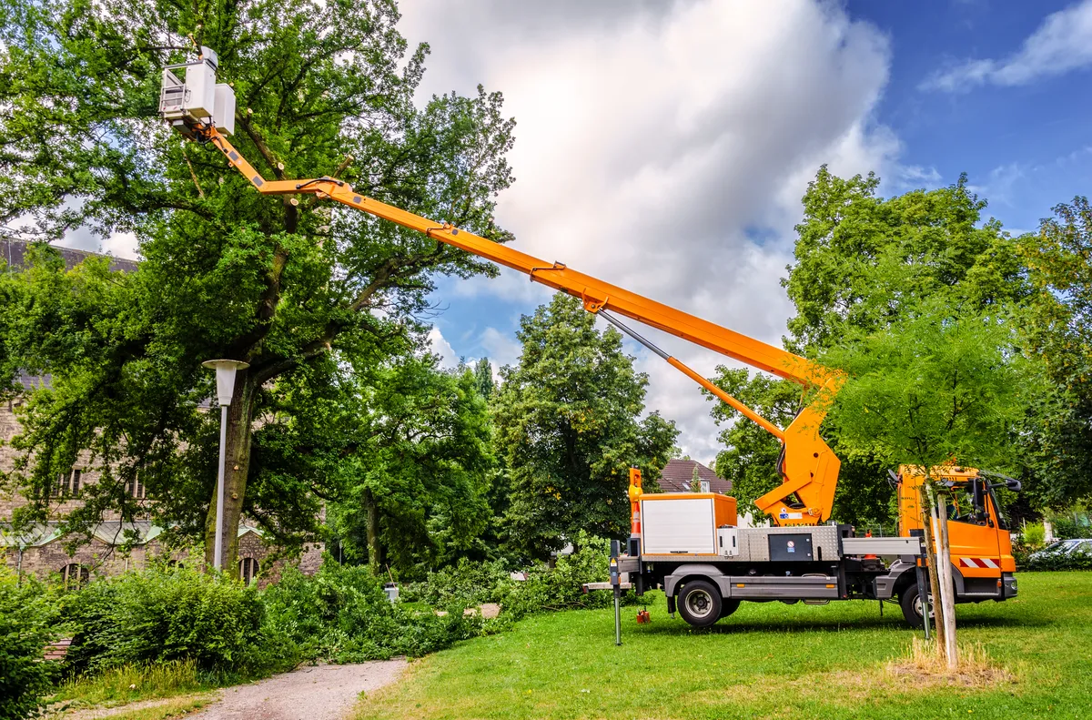 Bucket truck trimming trees in residential Charlotte neighborhood