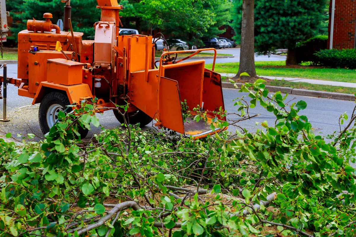Wood chipper processing tree branches into mulch