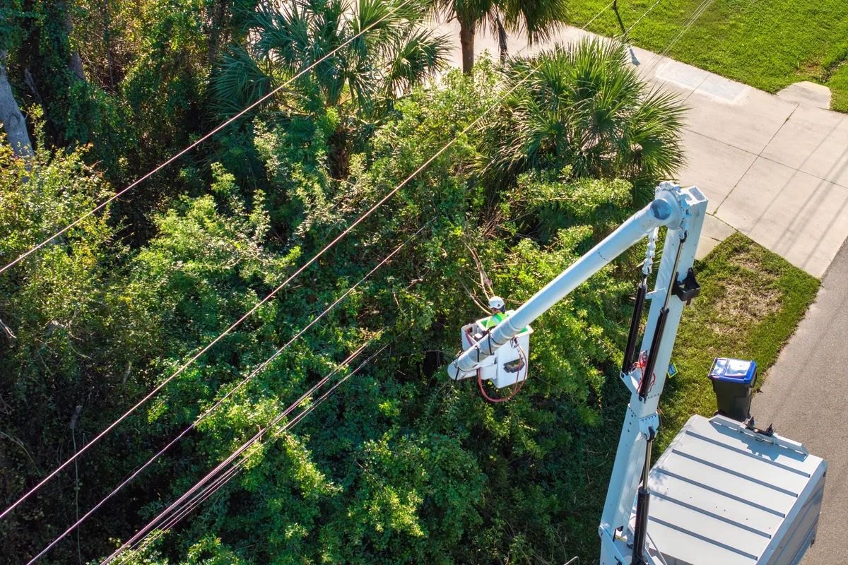 Aerial view of bucket truck trimming trees near power lines