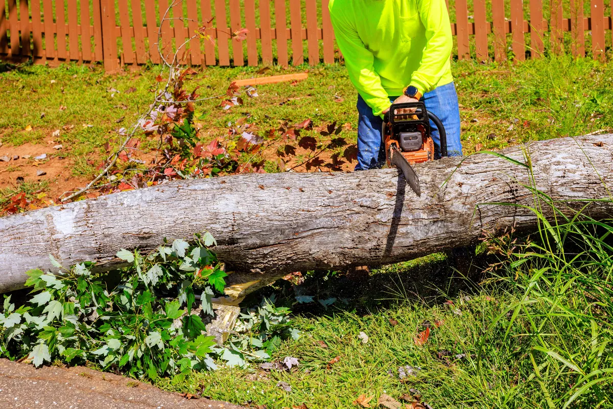 Worker cutting fallen tree branch near residential fence