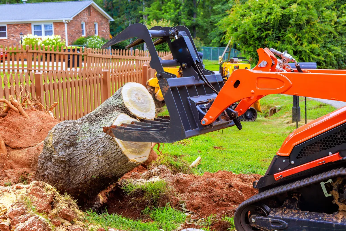 Heavy equipment removing tree stump and roots from yard