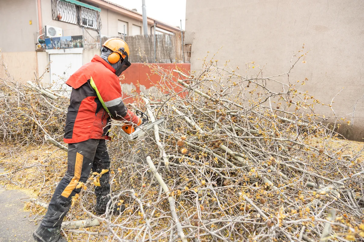 Worker with chainsaw cutting through pile of branches